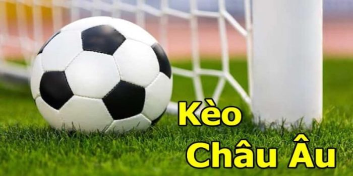 cách đọc kèo bóng đá châu âu: Tổng hợp thông tin trận đấu để đặt kèo 1x2 chuẩn hơn