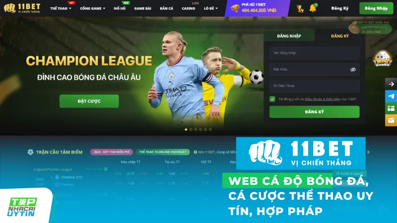 Web cá độ bóng đá, cá cược thể thao uy tín, hợp pháp tại Việt Nam